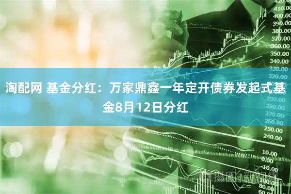 淘配网 基金分红：万家鼎鑫一年定开债券发起式基金8月12日分红