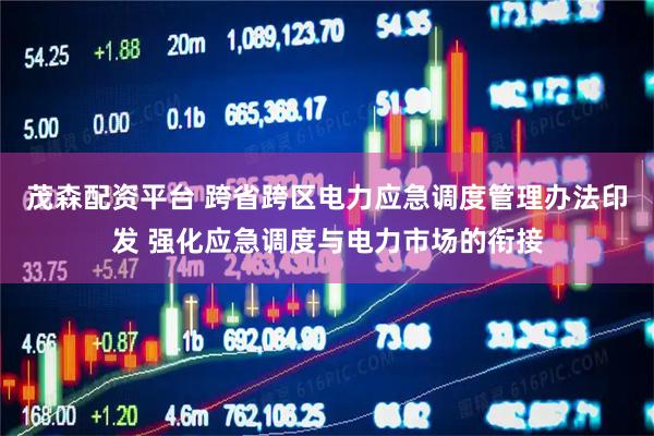 茂森配资平台 跨省跨区电力应急调度管理办法印发 强化应急调度与电力市场的衔接