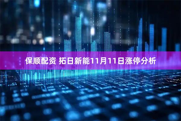 保顺配资 拓日新能11月11日涨停分析